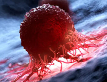 cancer cell